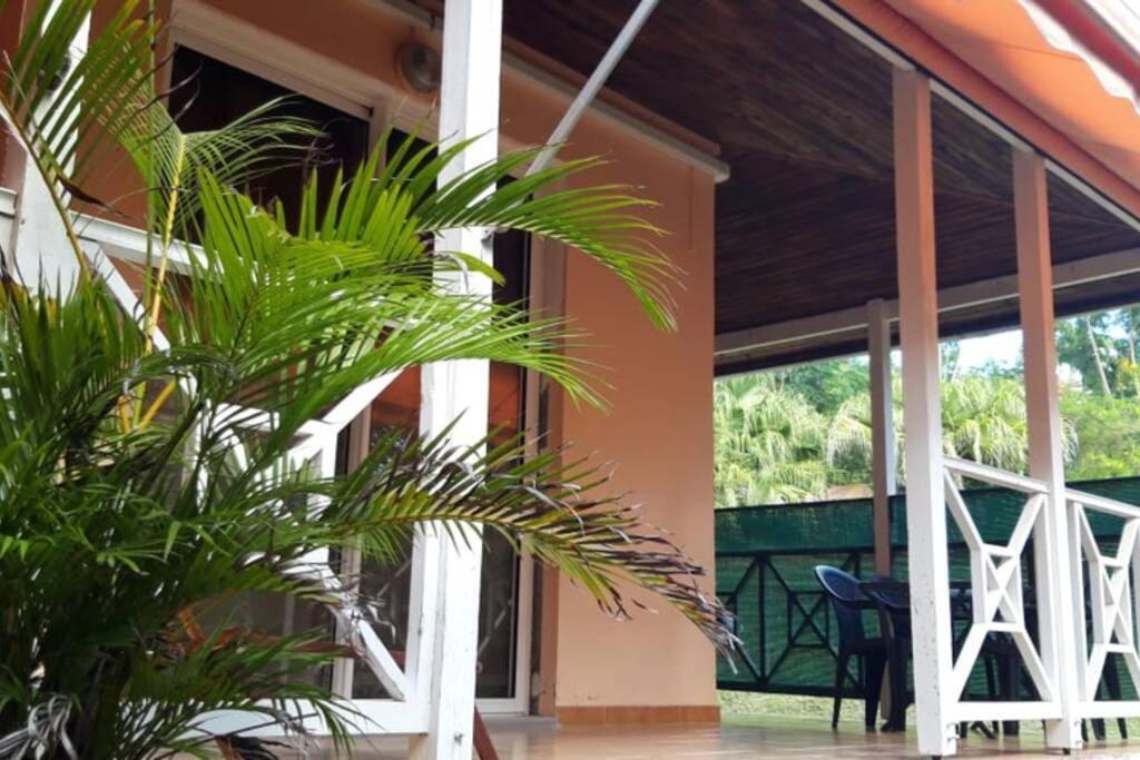 Residence Ti'Keol - Appartements Avec Terrasse 2 A 4 Personnes, Piscine Sainte-Anne Kültér fotó
